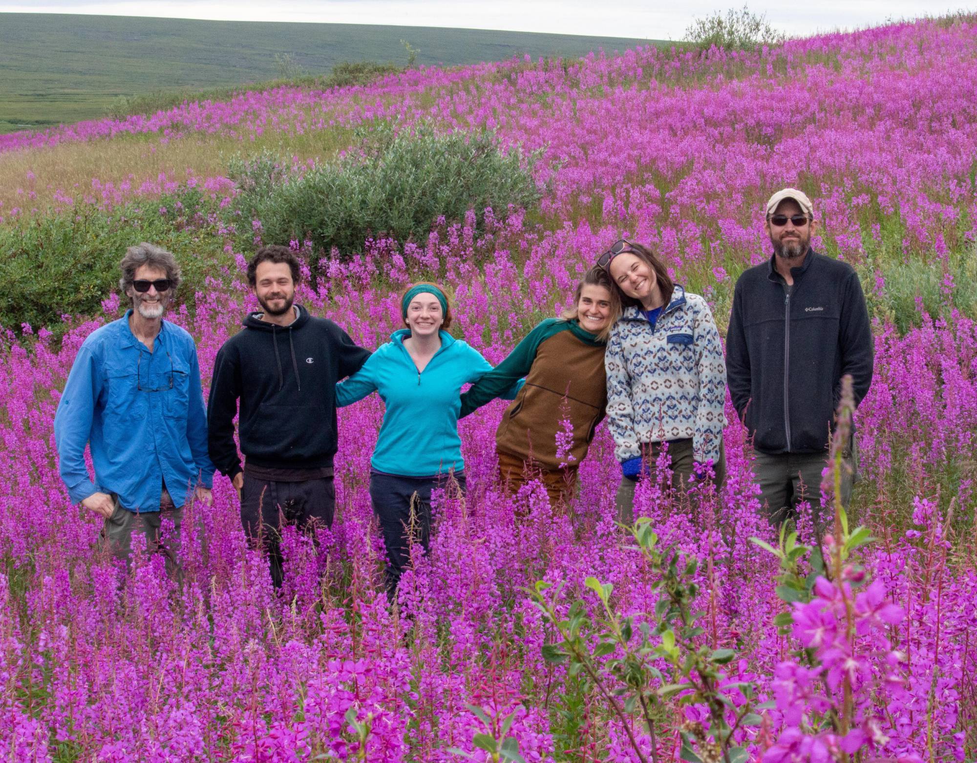Toolik crew in a field of fireweed